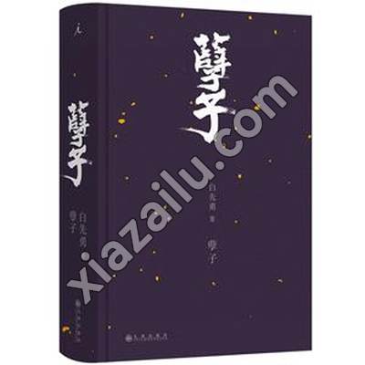 孽子(2024版),白先勇,PDF电子书下载,网盘资源
