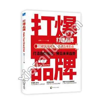 打爆品牌,赵军,PDF电子书下载,217MB,网盘资源