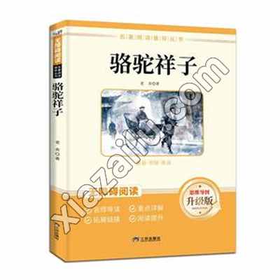 骆驼祥子,老舍,PDF电子书下载,245MB,网盘资源
